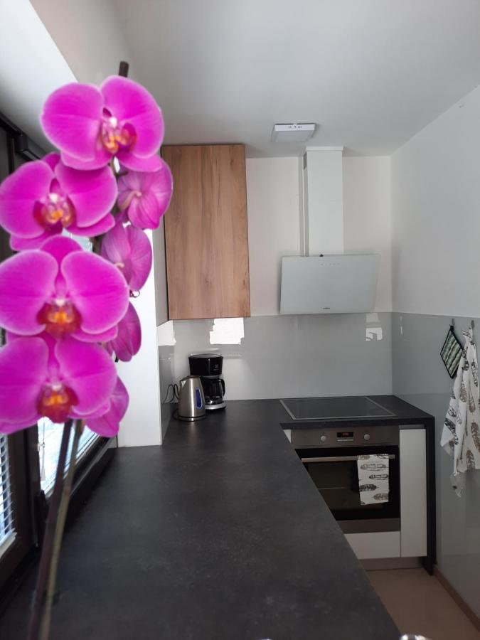 Hisa Spuntar Apartment Bovec Ngoại thất bức ảnh